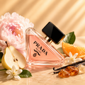Prada – Paradoxe